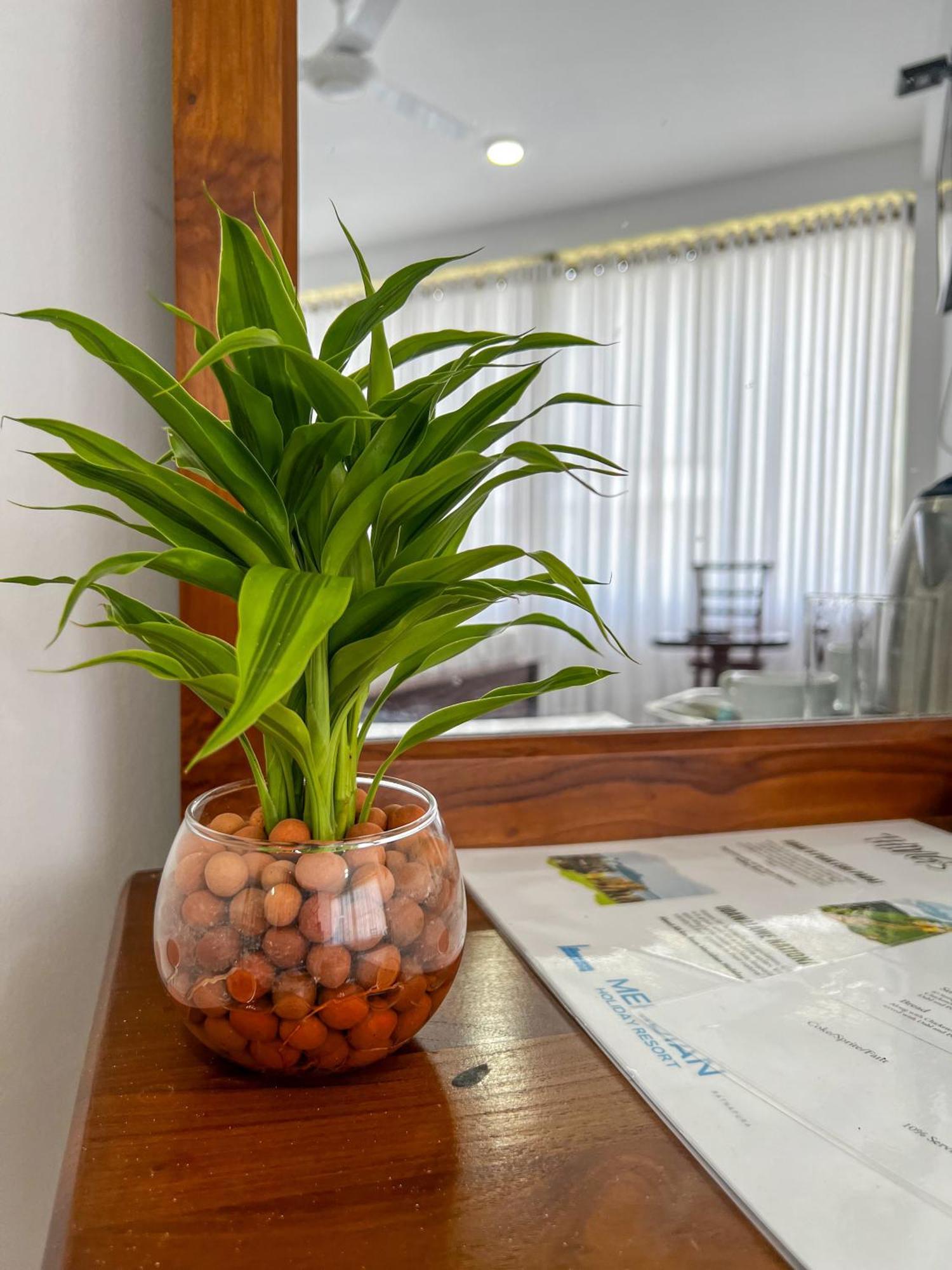 Meridian Holiday Resort Ratnapura Buitenkant foto