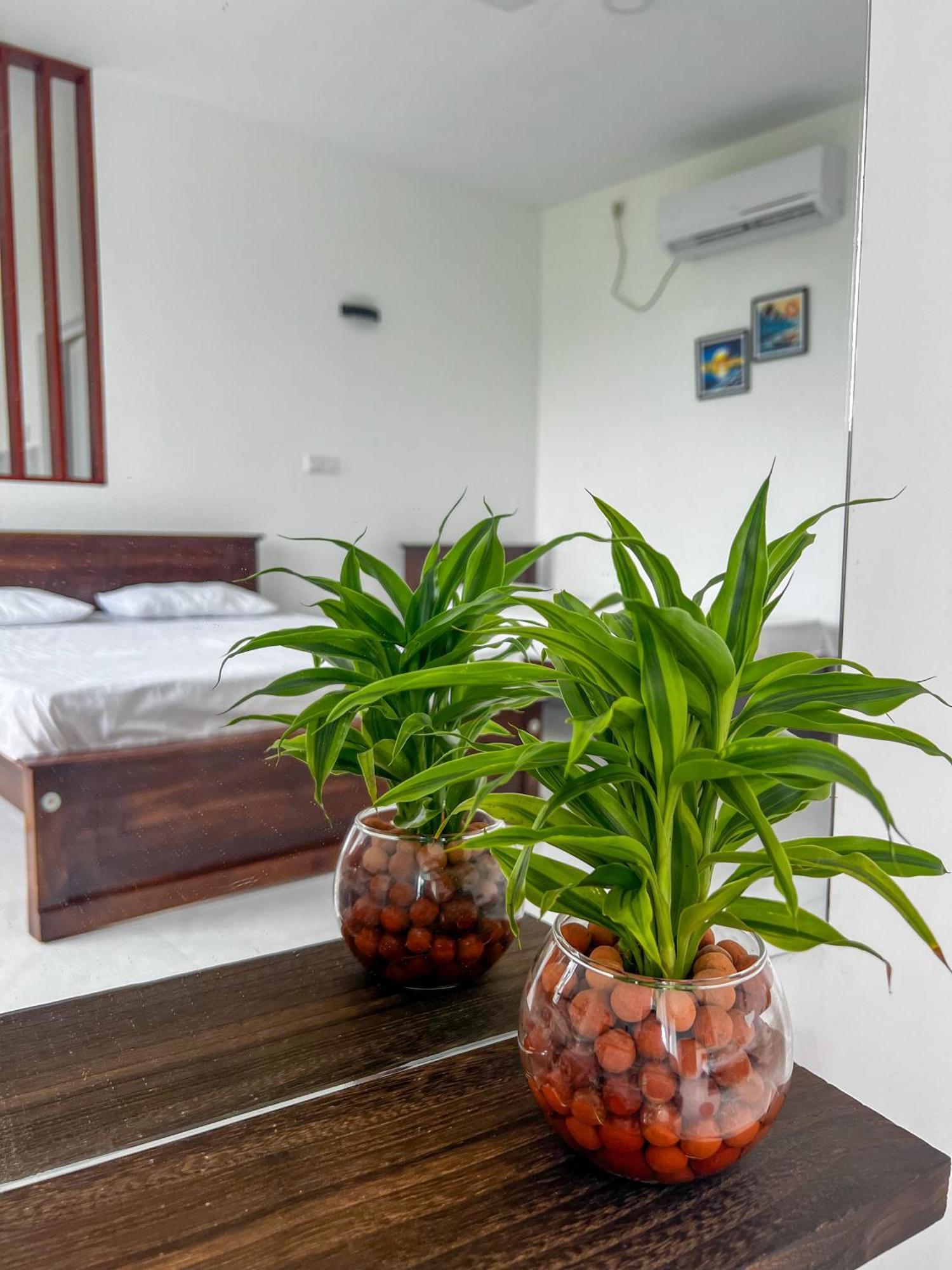 Meridian Holiday Resort Ratnapura Buitenkant foto